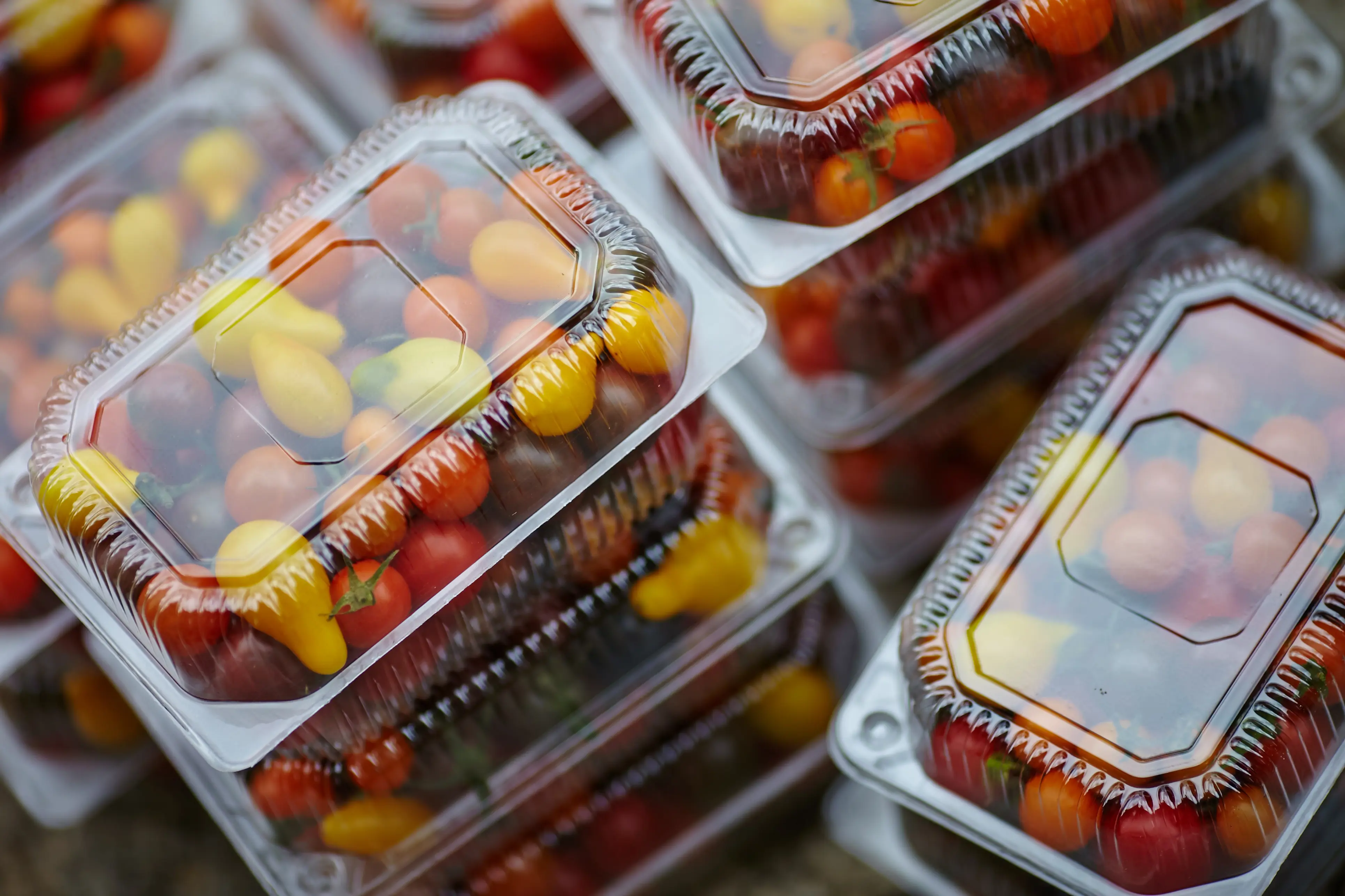 events-foodworld-2025