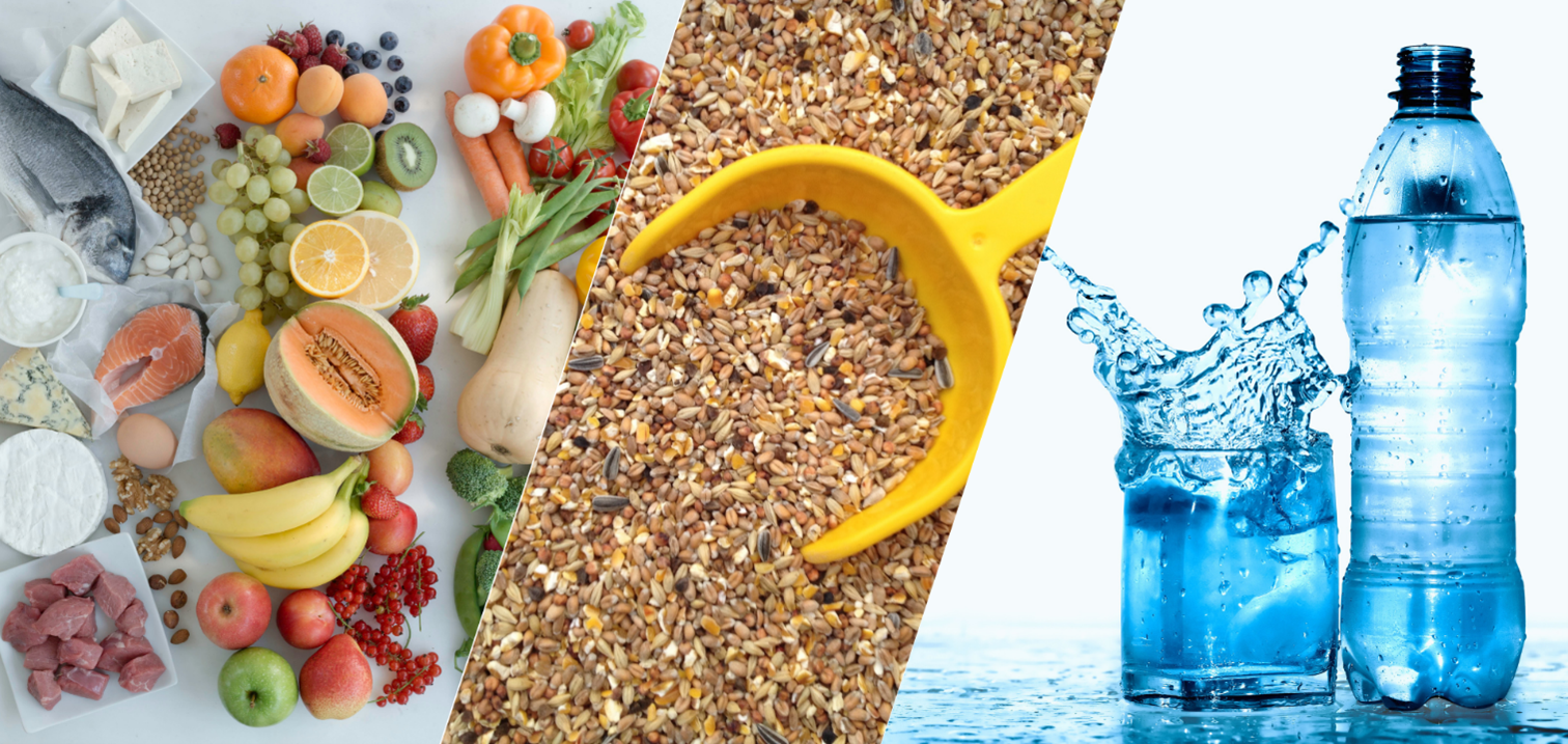 geochem-food